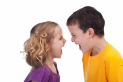 2. Agresivita dětí – předškolní věk