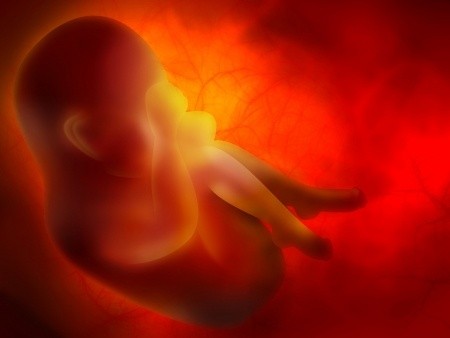 Placenta – co s ní po porodu?