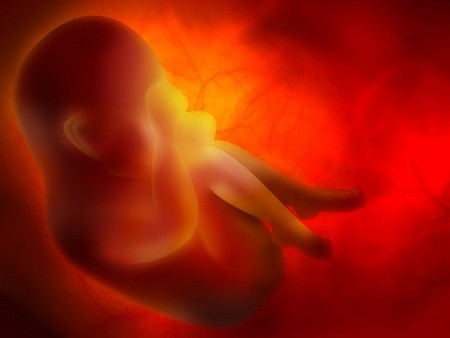 Placenta – co s ní po porodu?